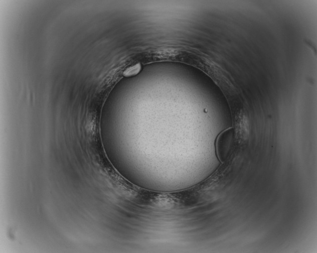 X0000102360608200808081132