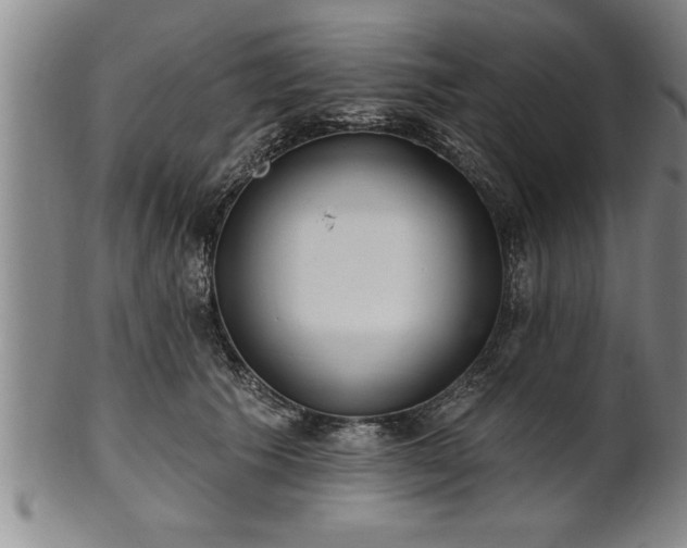X0000102360609200808081132