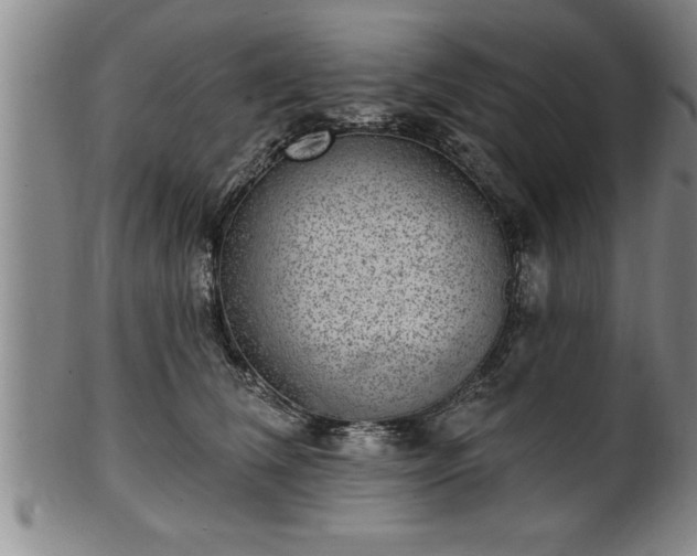X0000102360612200808081132