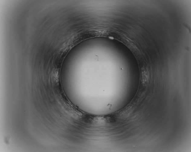 X0000102360613200808081132