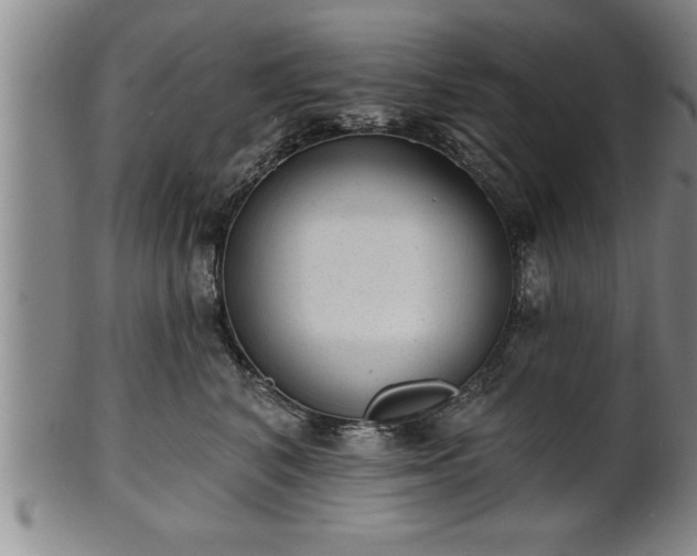 X0000102360616200808081131