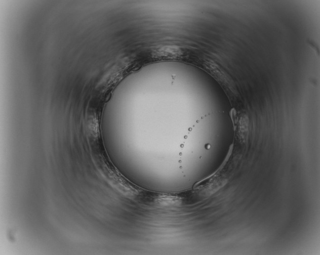 X0000102360617200808081131