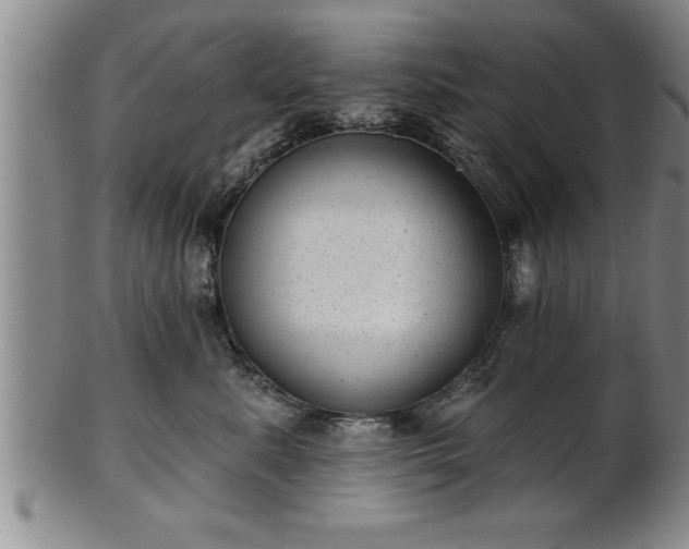 X0000102360619200808081131