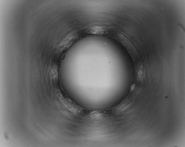 X0000102360620200808081131