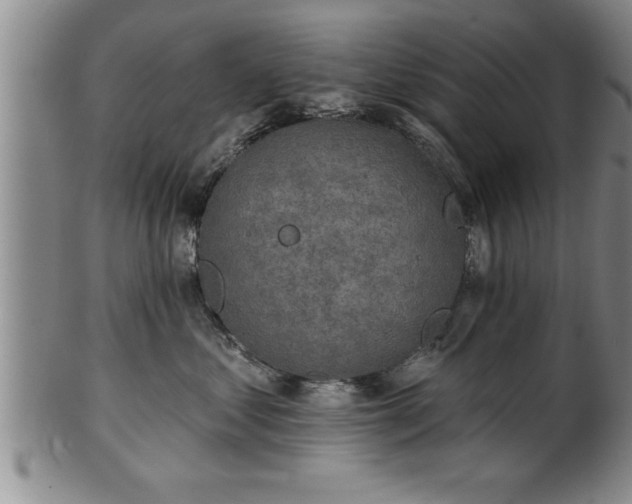 X0000102360621200808081131