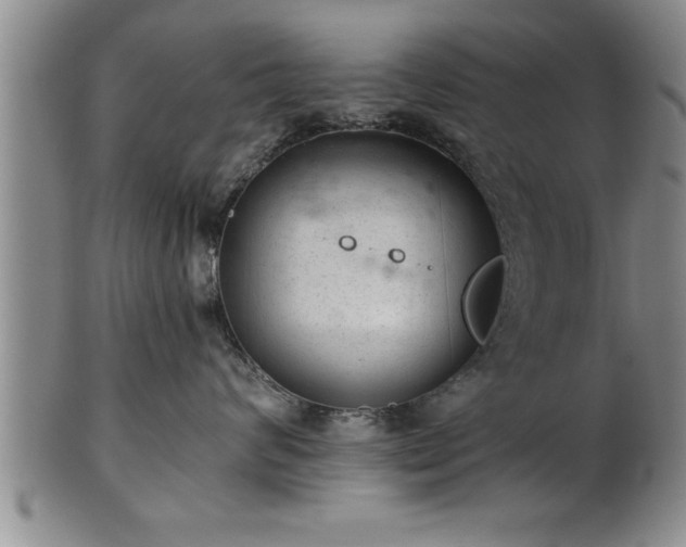 X0000102360624200808081131