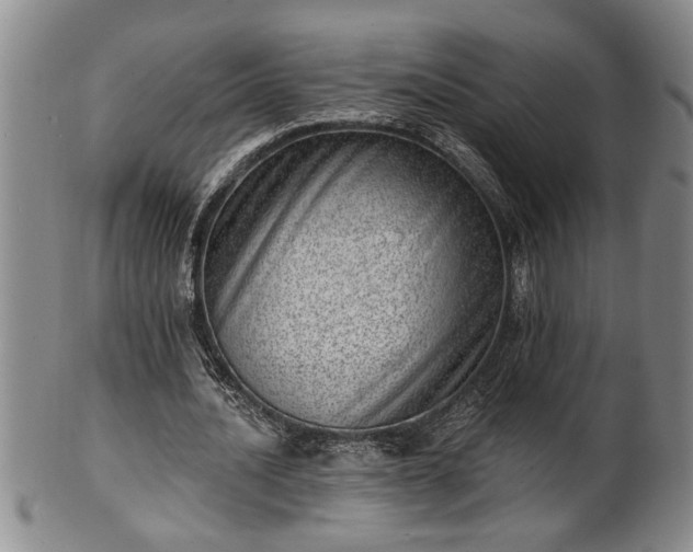 X0000102360628200808081131