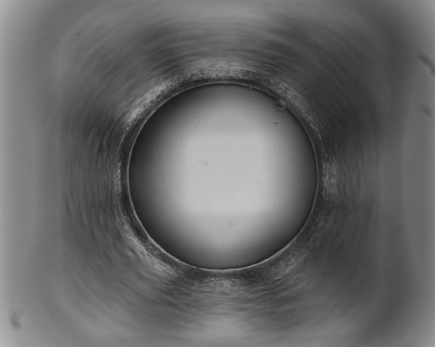 X0000102360629200808081131