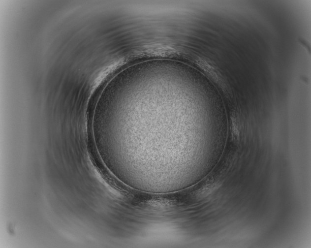 X0000102360630200808081131