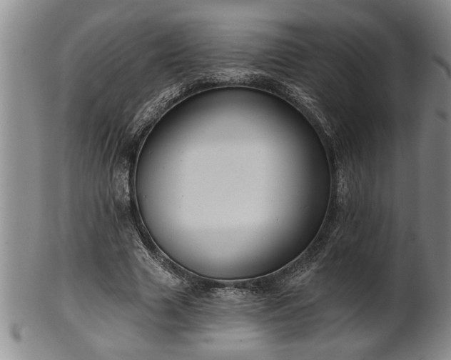 X0000102360633200808081131