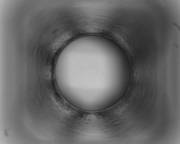 X0000102360635200808081131