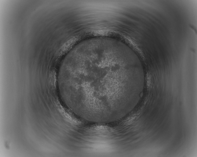 X0000102360637200808081131