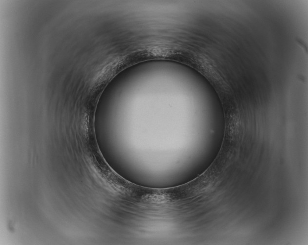 X0000102360639200808081131