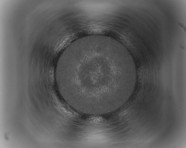 X0000102360642200808081131