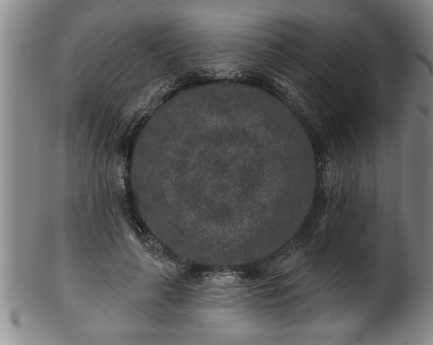 X0000102360643200808081131
