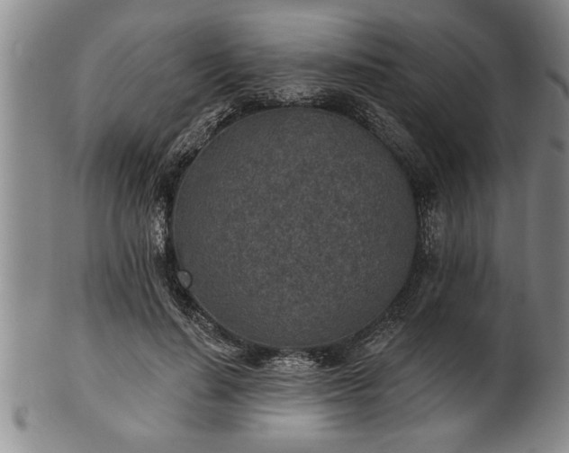 X0000102360644200808081131