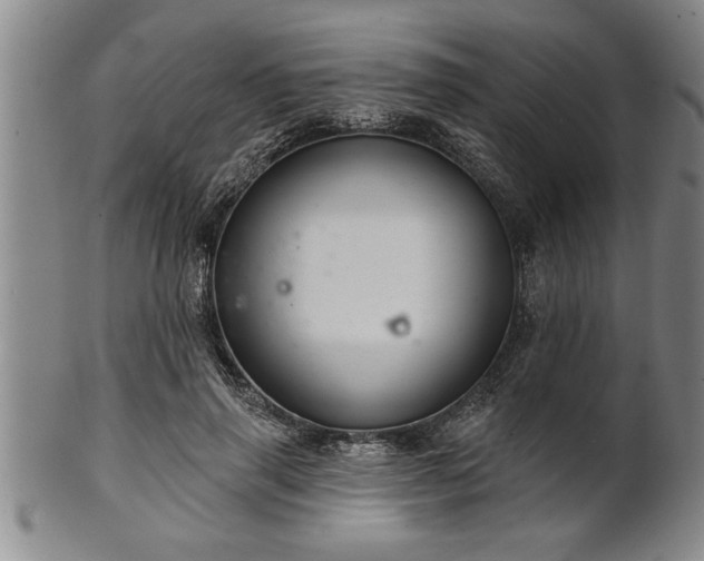 X0000102360645200808081131
