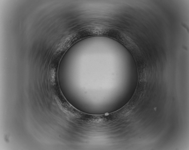 X0000102360646200808081131