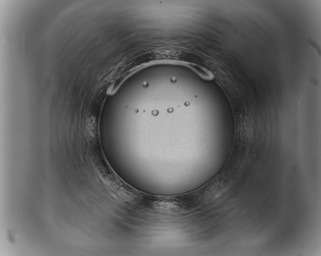 X0000102360649200808081131