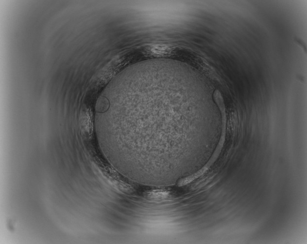 X0000102360651200808081131