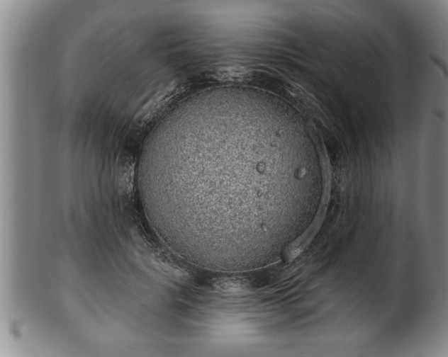 X0000102360652200808081131