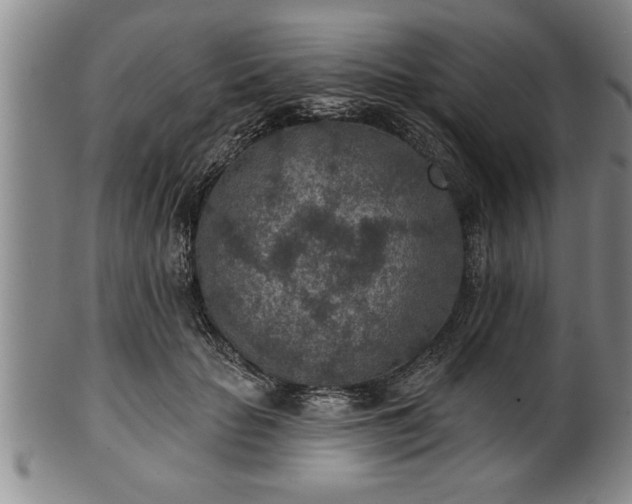 X0000102360653200808081131