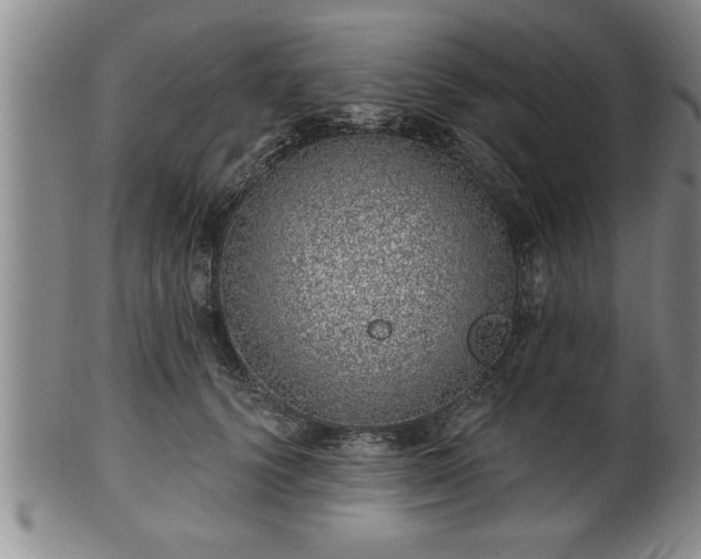 X0000102360656200808081131