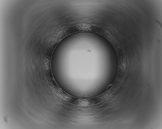 X0000102360658200808081131