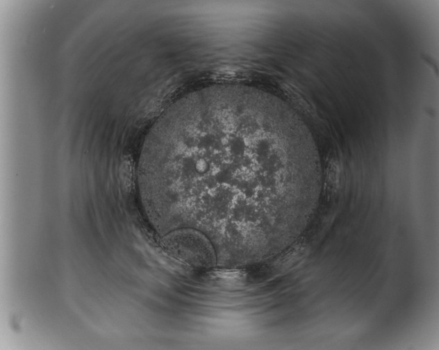 X0000102360659200808081131
