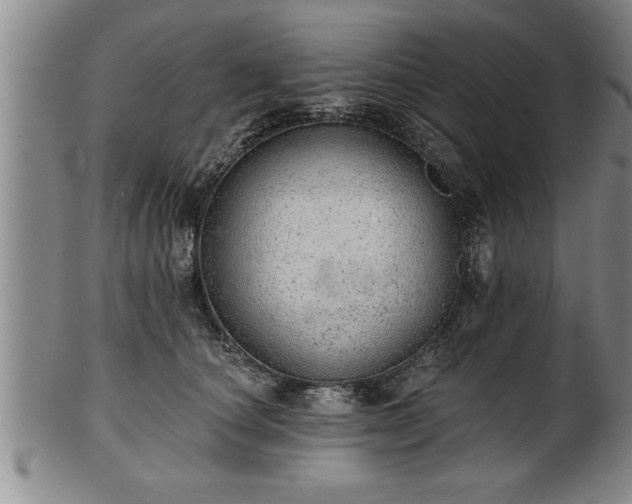 X0000102360660200808081131