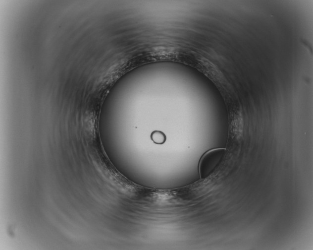 X0000102360662200808081131