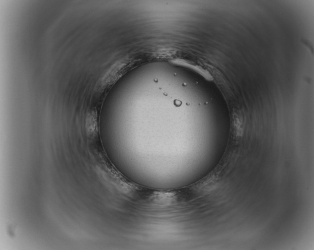 X0000102360665200808081131