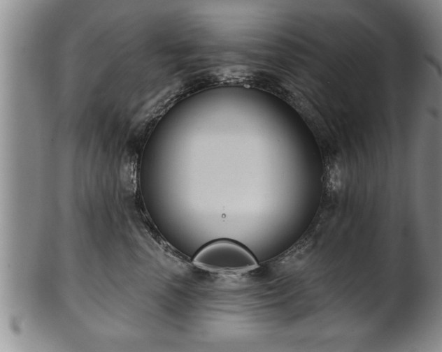 X0000102360666200808081131