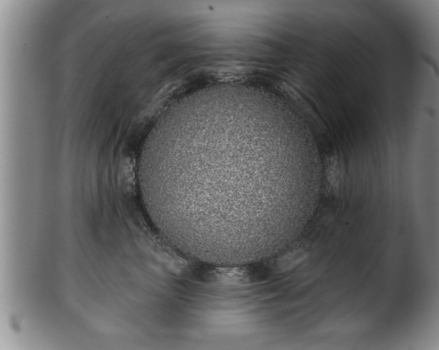 X0000102360667200808081131