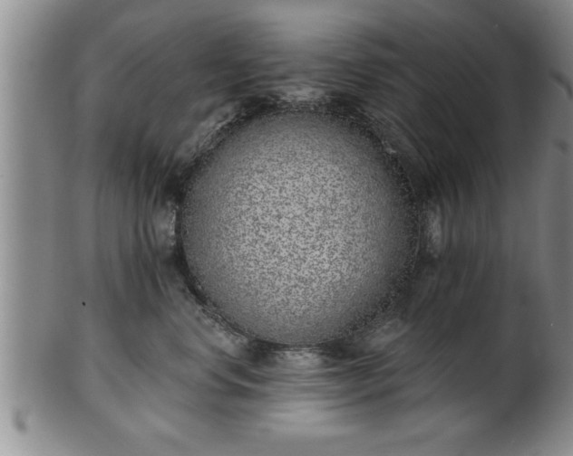 X0000102360668200808081131