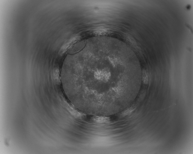 X0000102360670200808081131