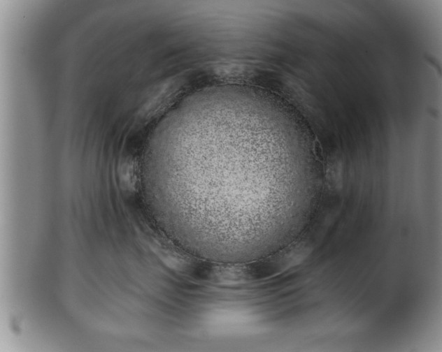 X0000102360671200808081131