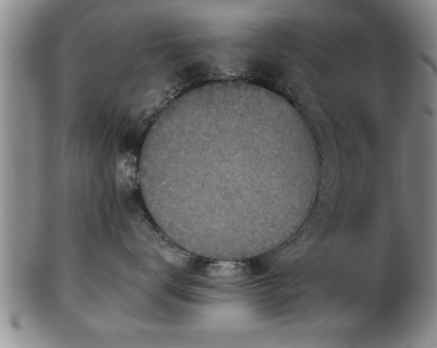 X0000102360672200808081131