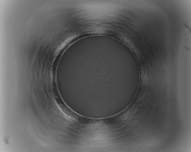 X0000102360674200808081131