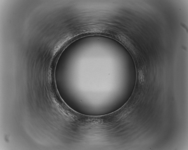 X0000102360676200808081131