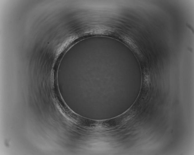 X0000102360678200808081131