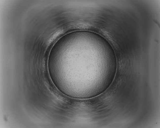 X0000102360679200808081131