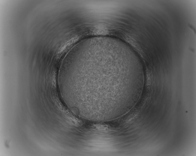 X0000102360681200808081131