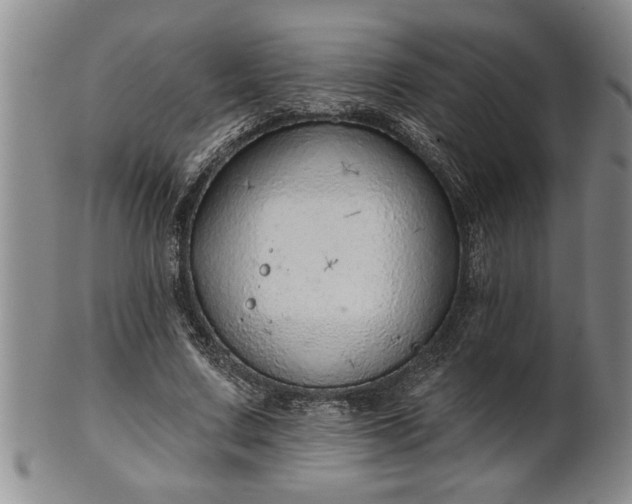 X0000102360683200808081131