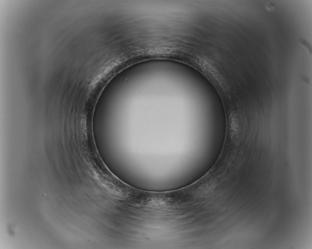 X0000102360684200808081131