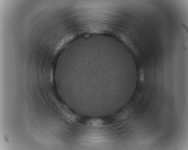 X0000102360685200808081131