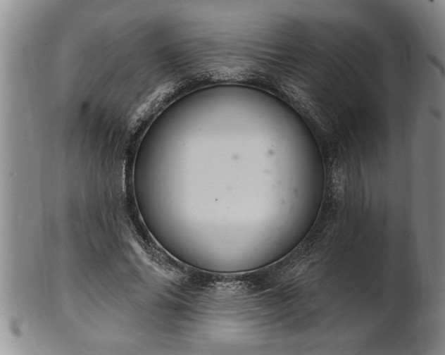X0000102360686200808081130