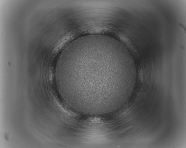 X0000102360687200808081130