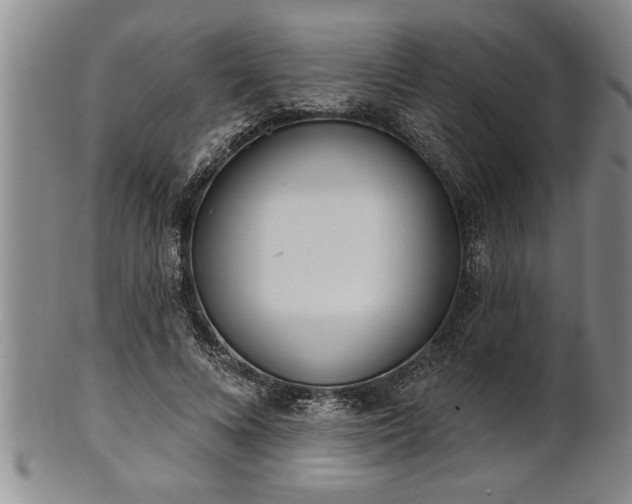 X0000102360688200808081130