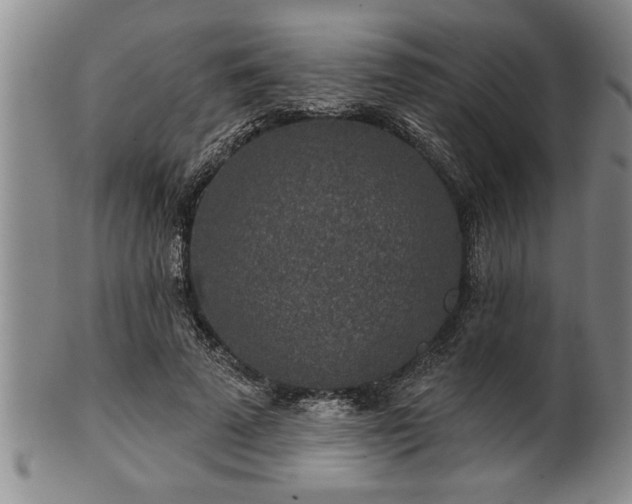 X0000102360689200808081130